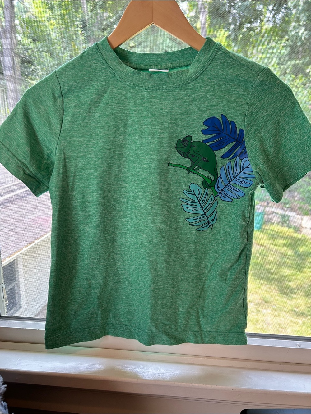 Hanna Andersson Boys Active UV Graphic T-Shirt Green Chameleon Print